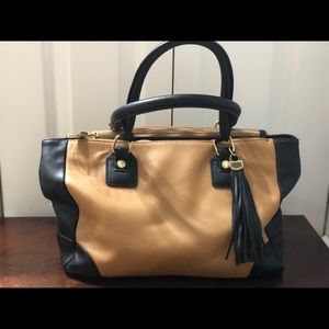 Steve Madden Purse